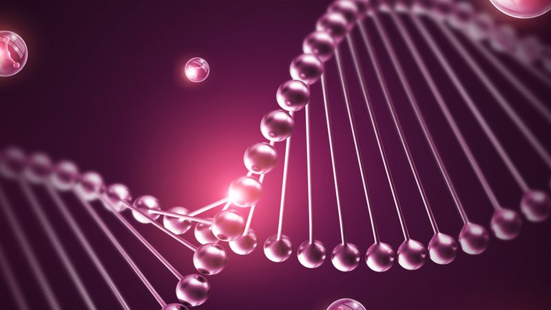 上海cro优化方案定制公司