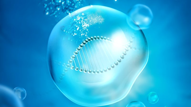 CDMO项目评估：关键因素与常见误区解析
