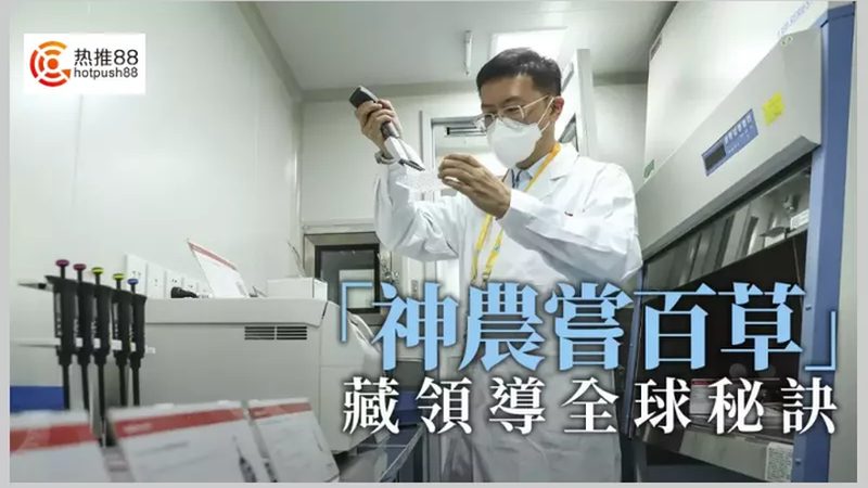 张江CDMO公司：揭秘医药研发背后的力量**