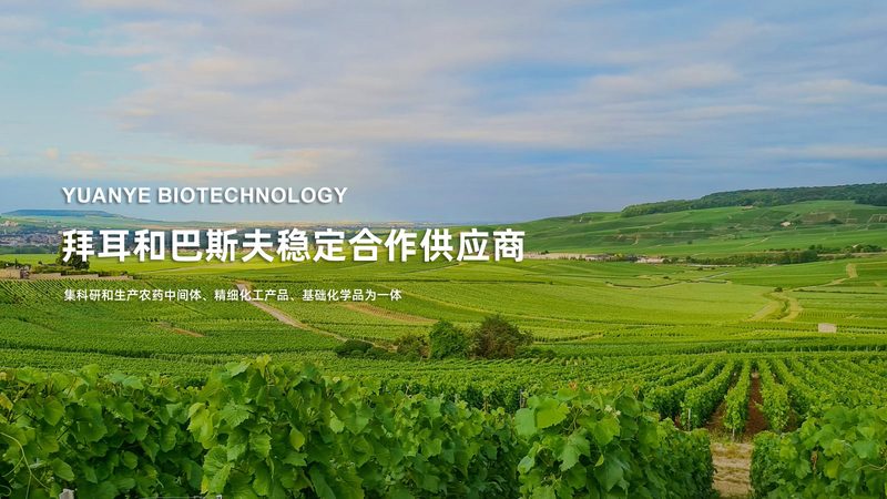 生物制品原液质量标准：关键参数与检测要点**