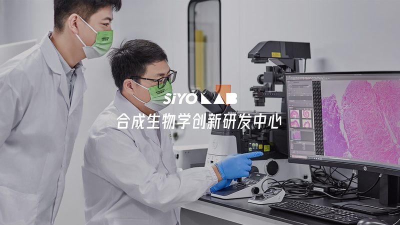 生物科技研发流程：揭秘报价背后的关键要素**