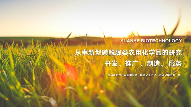 CDMO价格波动背后的深层因素解析