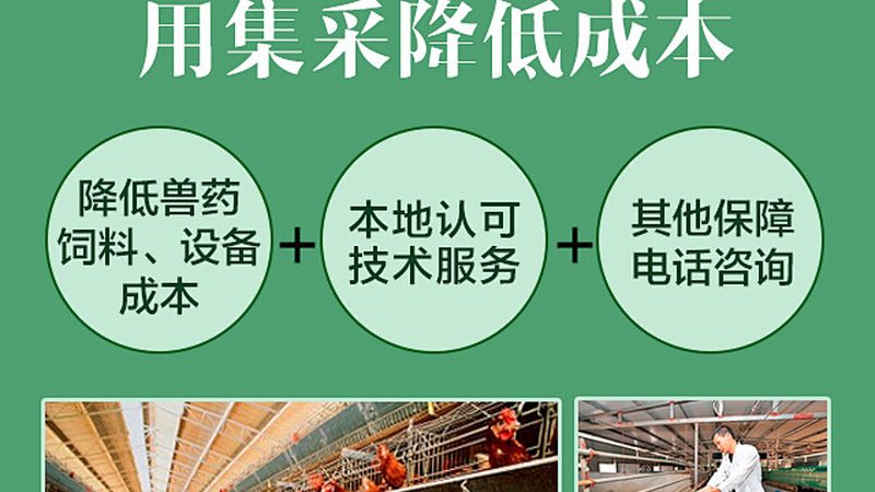 医用生物科技面膜：如何从成分与功效看真伪**