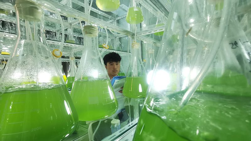 PCR检测设备：揭秘其核心技术与应用场景